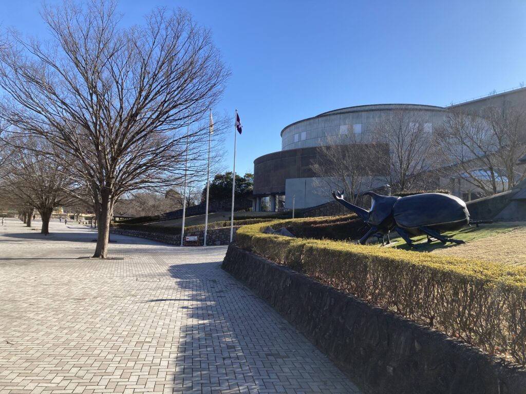 群馬県立自然史博物館　Gunma Prefectural natural history Museum